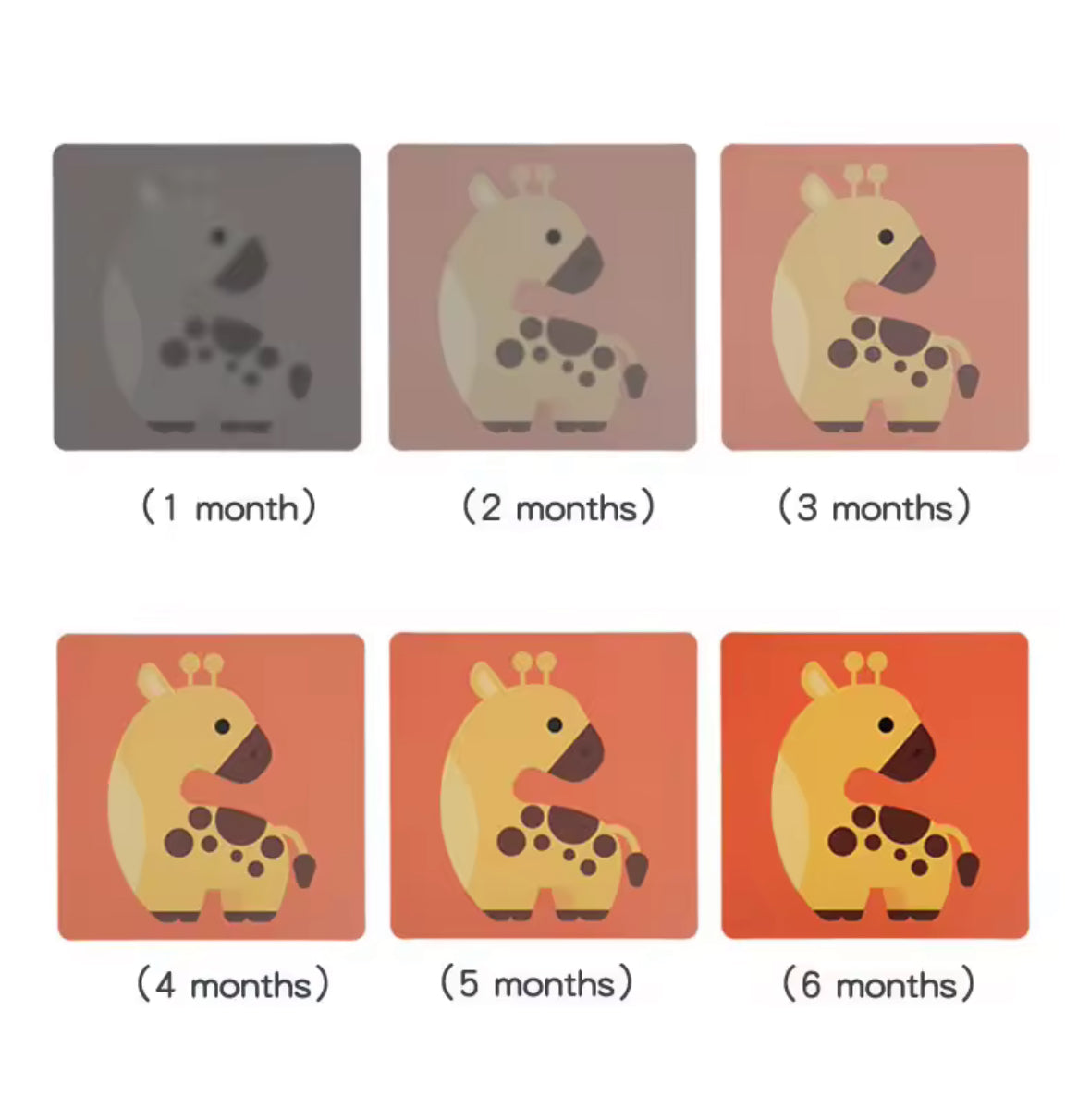 FirstSparks™ Baby Vision Cards